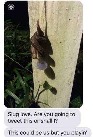 Slug Love is True Love